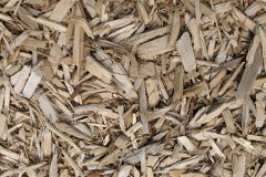 biomass boilers Wood Burcote